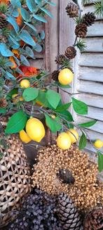 Kunsttak met citroenen, Ophalen of Verzenden, Zo goed als nieuw