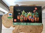 Lego set 10329 Kleine plantjes, nieuw in doos, Ophalen of Verzenden, Nieuw, Complete set, Lego