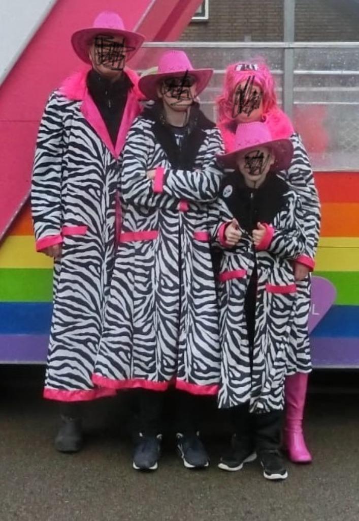 Tijgerjassen, Kleding | Dames, Carnavalskleding en Feestkleding, Gedragen, Kleding, Ophalen of Verzenden