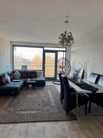 Tapijt, Ophalen, Gebruikt, Traditioneel / klassiek oriëntaals., Bruin