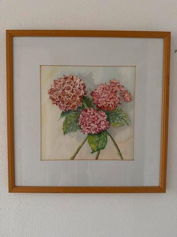 Aquarel Bloemen hortensia - Gesigneerd beschikbaar voor biedingen