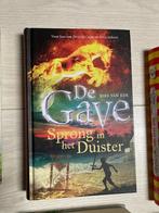 De Gave Sprong in het Duister - Bies van Ede, Boeken, Ophalen, Zo goed als nieuw, Bies van Ede, Fictie