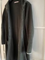 Groene Studio Anneloes vest mt: S/M, Kleding | Dames, Truien en Vesten, Ophalen of Verzenden, Zo goed als nieuw, Maat 38/40 (M)