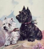 uk 1920 hond Schotse Terrier en Westie Terrier  Mabel Gear, Verzenden, 1920 tot 1940, Ongelopen, Overige thema's