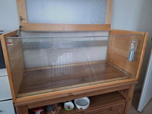 Kooi voor hamster, muis, reptiel etc, Dieren en Toebehoren, Knaagdieren en Konijnen | Hokken en Kooien, Gebruikt, Kooi, Minder dan 60 cm