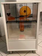 Omlet Qute met opbergruimte, Dieren en Toebehoren, Ophalen, Gebruikt, Minder dan 75 cm, 90 cm of meer