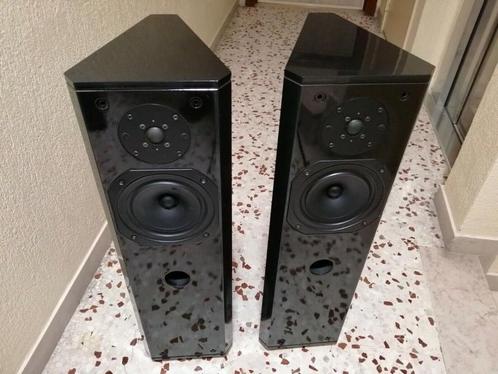 Top Design DRIADE ~ kwaliteit made in Holland, Audio, Tv en Foto, Luidsprekers, Zo goed als nieuw, Front, Rear of Stereo speakers