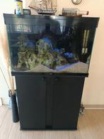 Ciano nature pro 80 +120liter  incl stenen en cichliden, Dieren en Toebehoren, Vissen | Aquaria en Toebehoren, Ophalen, Zo goed als nieuw
