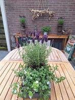 Ovalen teak houten tuintafel, middenstuk inklapbaar, Tuin en Terras, Tuintafels, Ophalen, Gebruikt, Rechthoekig, Teakhout
