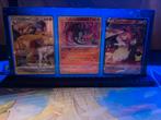 Charizard Pokémon display Bundle, Verzenden, Nieuw, Losse kaart