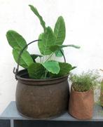 Koperen ketel / pot, Ophalen