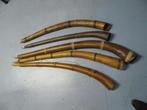 Midwinterhoorn Twents handwerk Lengtes van 105 tot 145 cm, Muziek en Instrumenten, Blaasinstrumenten | Hoorns, Ophalen of Verzenden