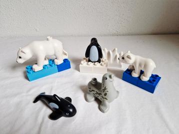Duplo dierentuin pooldieren dieren orka zeehond ijsbeer beschikbaar voor biedingen
