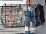 Mooi vogels kooi, Ophalen of Verzenden, Zo goed als nieuw, Metaal, Vogelkooi