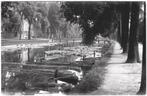 Foto - Middelburg - Herengracht - Drijvende Boomstammen, Ophalen of Verzenden, Zeeland