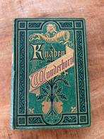 Antiek boek Des Knaben Wunderhorn (1873) – met houtgravures, Gelezen, Non-fictie, Ophalen of Verzenden, Achim von Arnim en Clemens Brentano