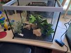 Leuk aquarium zonder deksel, Ophalen, Zo goed als nieuw, Leeg aquarium