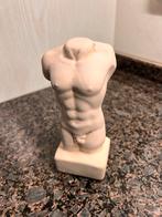 Mannen torso beige 15 cm, Ophalen of Verzenden