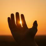 Compleet geautomatiseerd online bedrijf