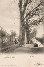 Loosduinen - Den Haag - De Wit, Verzenden, Voor 1920, Gelopen, Zuid-Holland