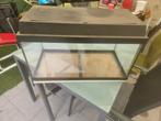 Aquarium  60x36x30 cm, Ophalen, Gebruikt, Leeg aquarium