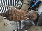 Te koop 'n houten hoofd, Ophalen of Verzenden, Gebruikt