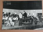 Persfoto Nationaal Jeugd Orkest circa 1980, Verzenden, 1980 tot heden, Zo goed als nieuw