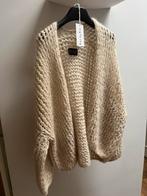 Kiro by Kim vest, Kleding | Dames, Truien en Vesten, Verzenden, Nieuw, Beige