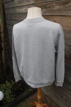 Trui grijs glinster Massimo Dutti mt L Vaste prijs, Kleding | Dames, Truien en Vesten, Massimo Dutti, Maat 42/44 (L), Ophalen of Verzenden