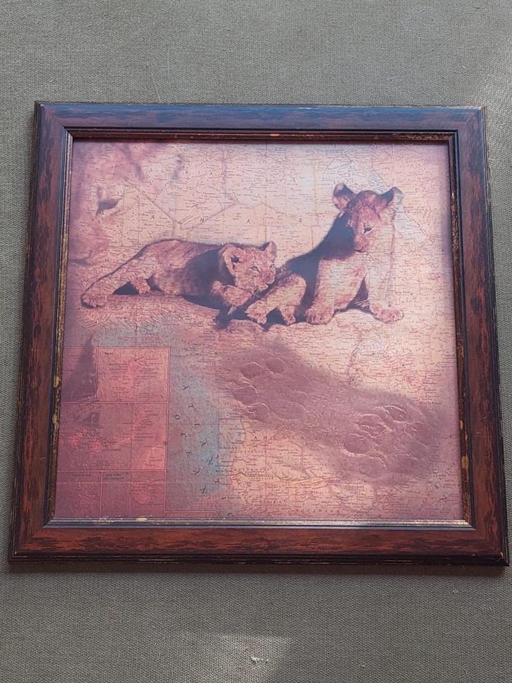 Dieren op kaart in houten lijst, Antiek en Kunst, Kunst | Schilderijen | Klassiek, Ophalen