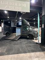 Paardentaxi Drenthe / Horse transport, Verzenden, Nieuw, Overige soorten