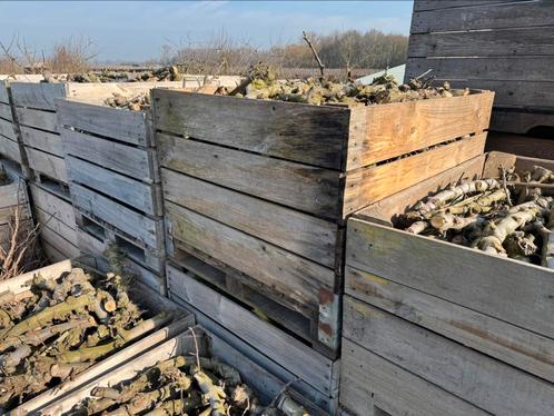 Haardhout te koop, appelhout, stookhout, fruitbomenhout, Tuin en Terras, Haardhout, Blokken, Overige houtsoorten, Ophalen