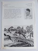 Miek Brante-Bloemen Steenwijk documentatieblad jaren 70, Antiek en Kunst, Ophalen of Verzenden