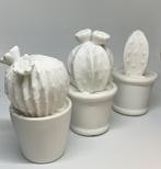Drie cactussen  wit keramiek/porselein, Ophalen of Verzenden, Zo goed als nieuw
