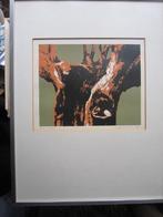 GIJS KEIZER, 77, Mooie Gekl. Zeefdruk van een BOOMSTAM, Ophalen