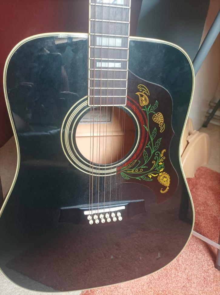 Ibanez  Floral Series12 snarige akoestische gitaar, Muziek en Instrumenten, Snaarinstrumenten | Gitaren | Akoestisch, Gebruikt