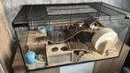 Hamster, Dieren en Toebehoren, Knaagdieren en Konijnen | Hokken en Kooien, Kooi, Gebruikt, Hamster, 75 tot 110 cm