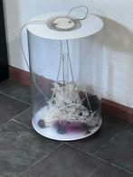 Biorb aquarium wit helaas is de lamp defect., Dieren en Toebehoren, Ophalen, Gebruikt, Verlichting of Verwarming