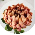 CHRYSANT - KUNST -  OUDROZE TINTEN, Ophalen of Verzenden, Nieuw