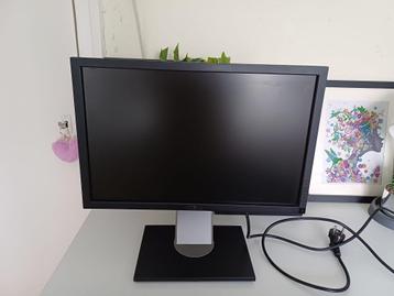 19 inch monitor Dell P1911