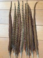 Fazant veren, Ophalen, Zo goed als nieuw