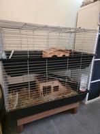 Caviakooi met verdieping en alle toebehoren, Dieren en Toebehoren, Ophalen, Kooi, 90 cm of meer, 75 tot 110 cm