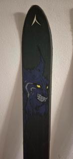 Dynastar twister, buckelski, Ophalen, Gebruikt, Ski's, Overige merken