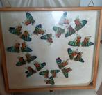 Vlinderkastje 4, Dieren en Toebehoren, Insecten en Spinnen, Vlinders of Rupsen