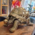 Schilpad messing beeld xxl reuzenschildpad, Ophalen of Verzenden