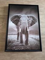 Leuke poster met lijst met olifant, Huis en Inrichting, Woonaccessoires | Schilderijen, Tekeningen en Foto's, Minder dan 50 cm