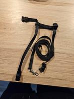 Verschillende katten /kitten/ konijnen tuigjes., Dieren en Toebehoren, Katten-accessoires, Ophalen of Verzenden, Nieuw