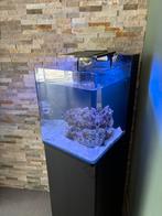 Zeeaquarium + compete inhoud, Dieren en Toebehoren, Vissen | Aquaria en Toebehoren, Ophalen of Verzenden, Zo goed als nieuw, Gevuld zeewateraquarium