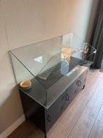 Glazen cavia verblijf op maat, Dieren en Toebehoren, Hok, 75 tot 110 cm, Cavia, Ophalen