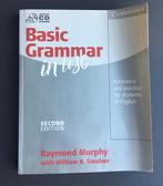Basic Grammar studieboek in use met audio cd Cambridge, Raymond Murphy Willem R. Smaller, Ophalen of Verzenden, Zo goed als nieuw